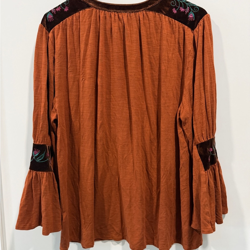 Cupio Rust Embroidered Blouse - Picture 2 of 4